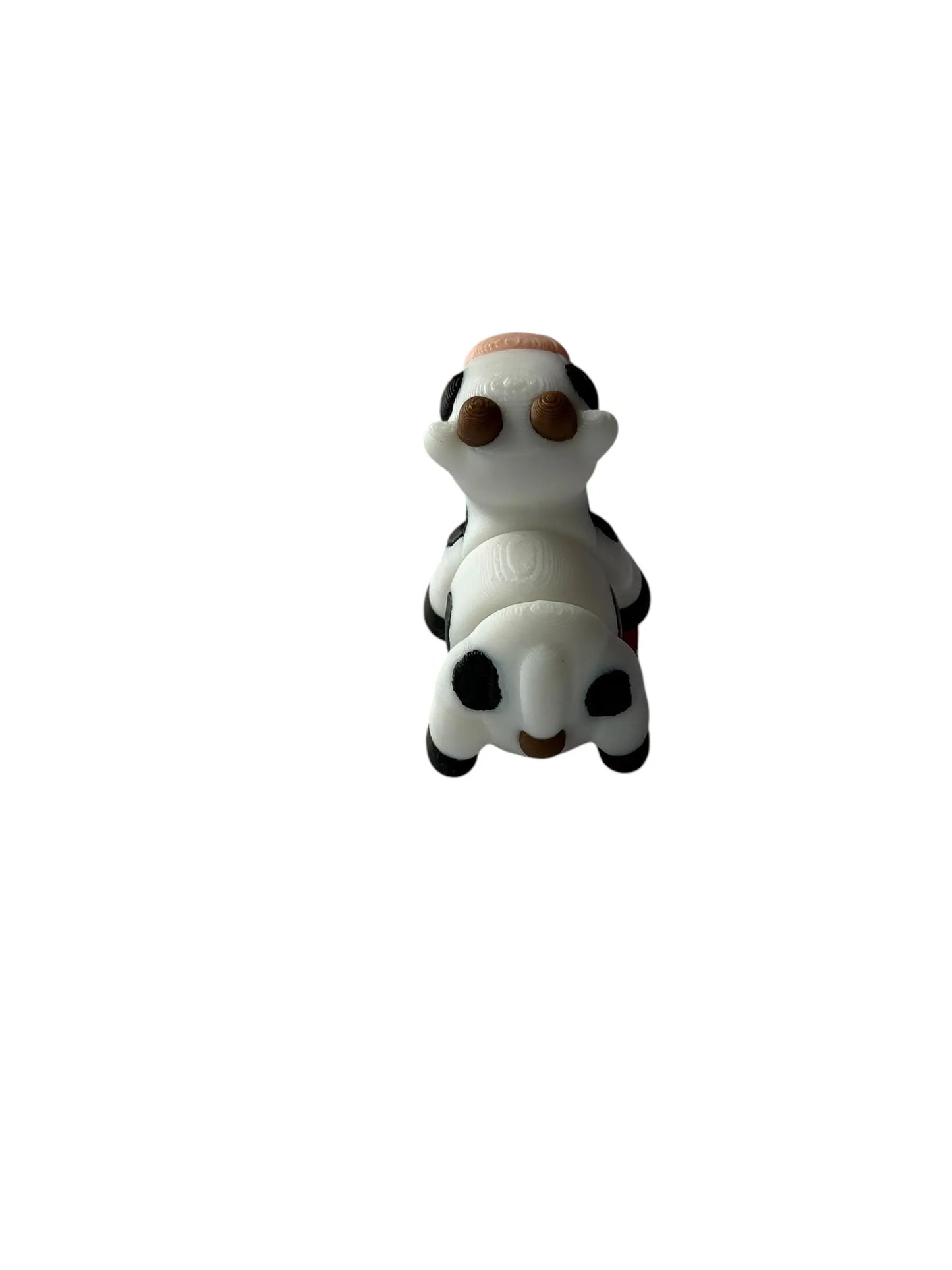 Mini Pocket Pal