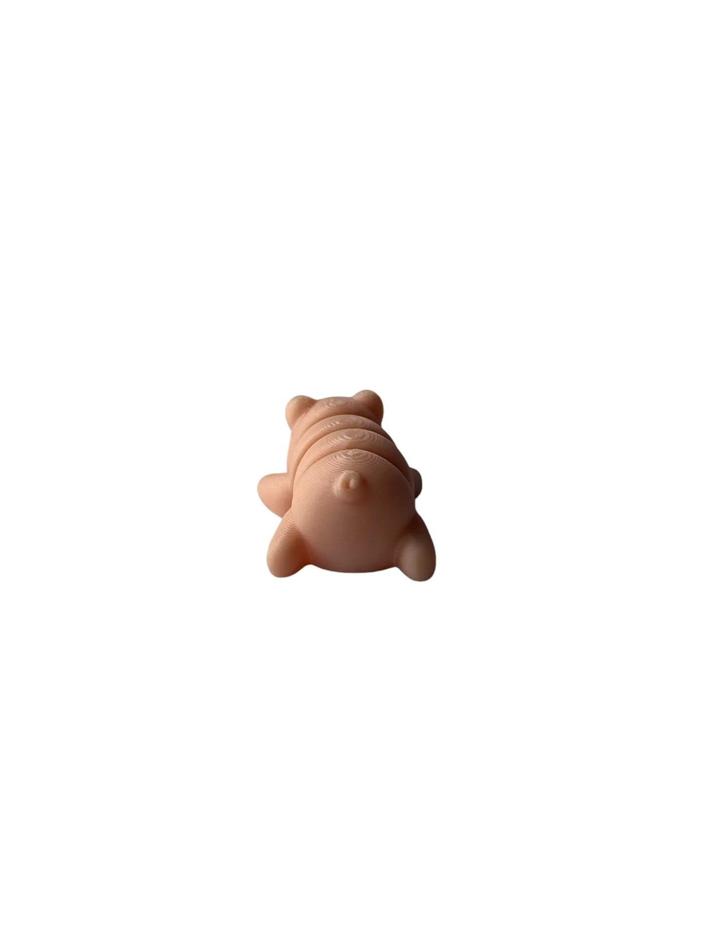 Mini Pocket Pal