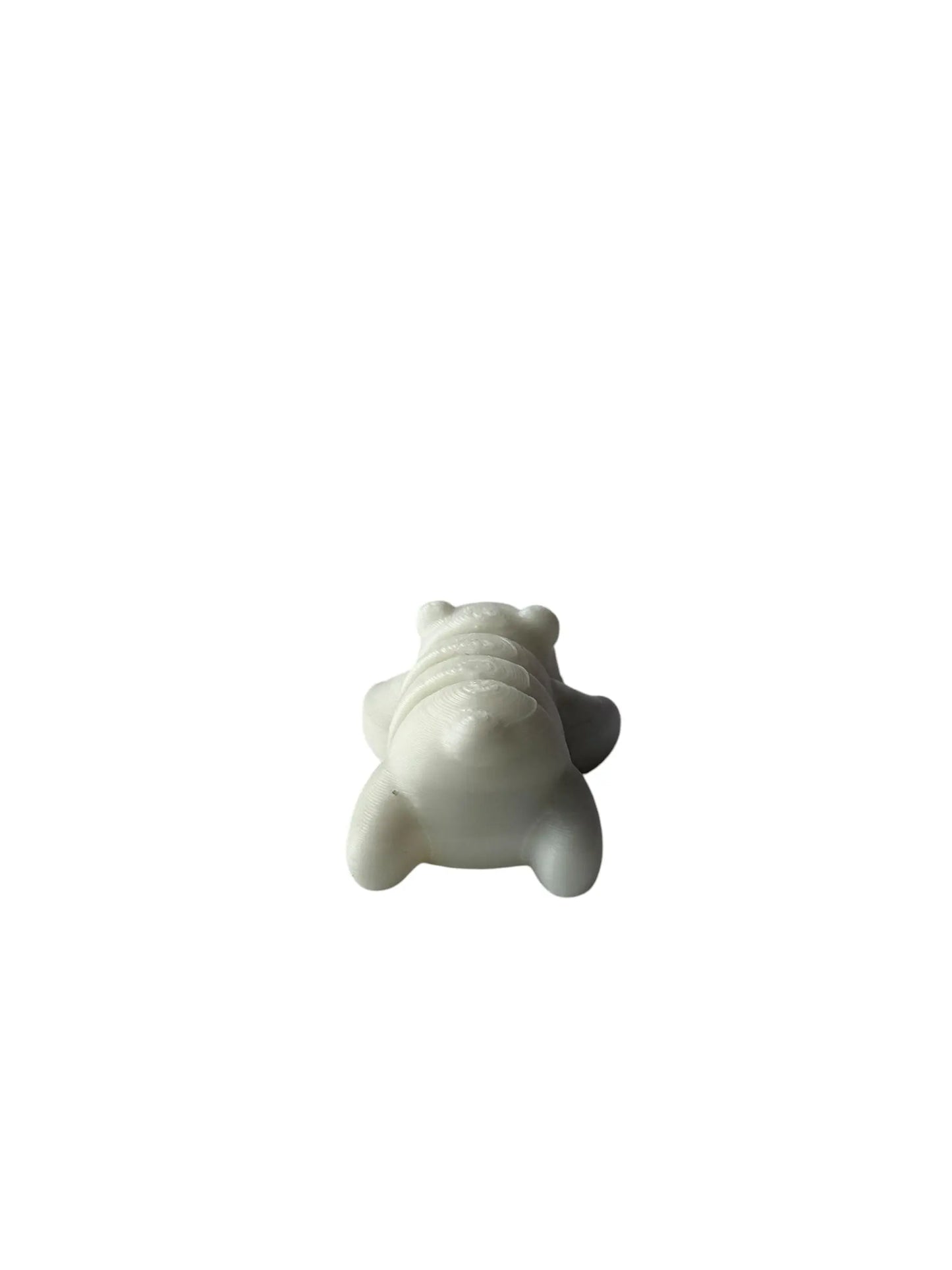 Mini Pocket Pal