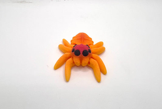 Flexi Jumping Spider