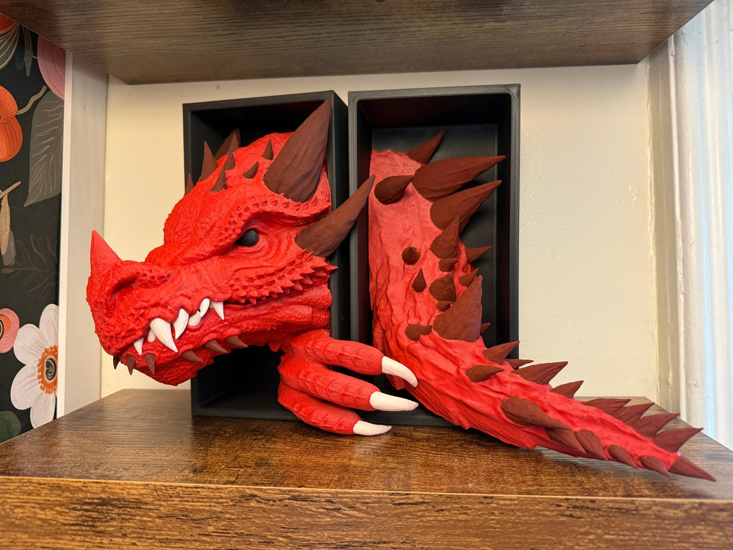 Emerging Dragon Book Nook Set