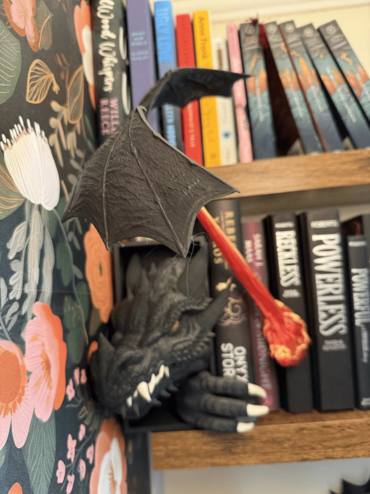 Dragon Flame Book Nook