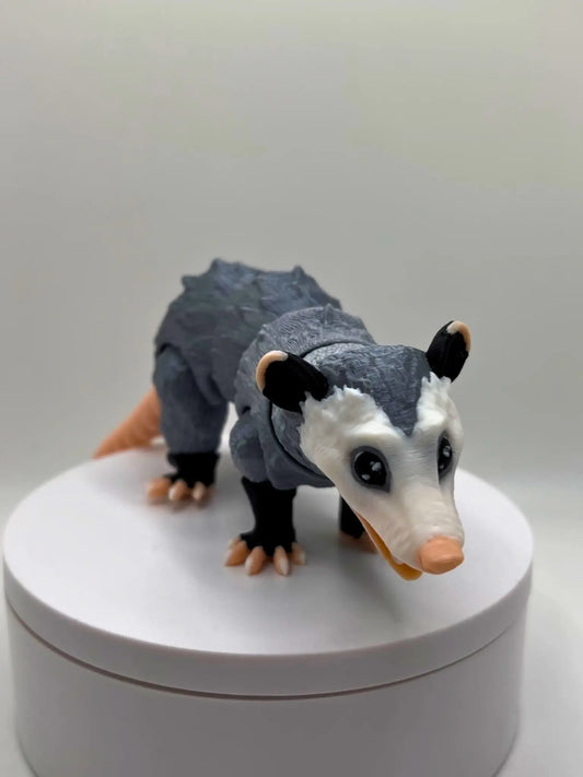 Opossum