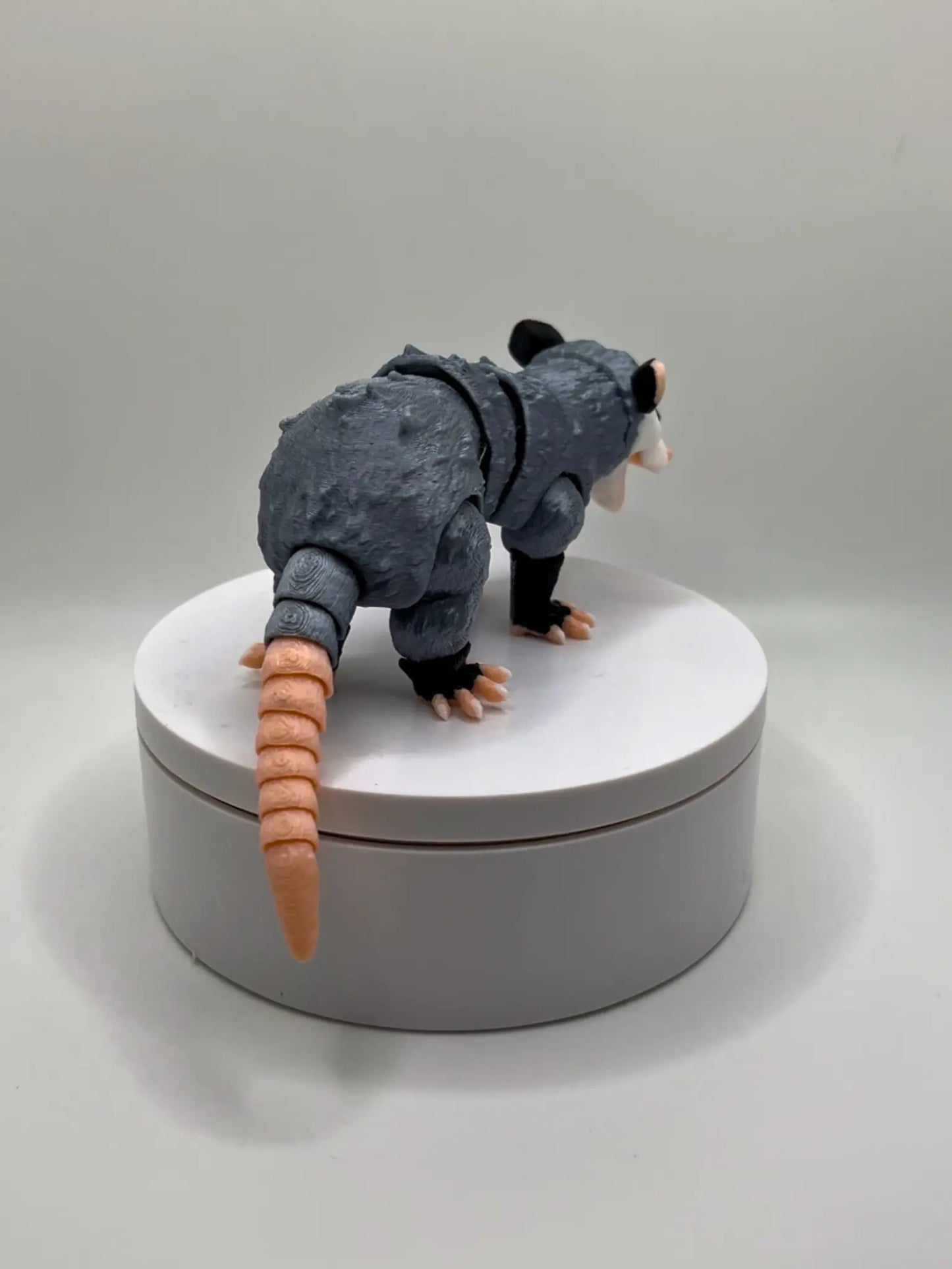 Opossum