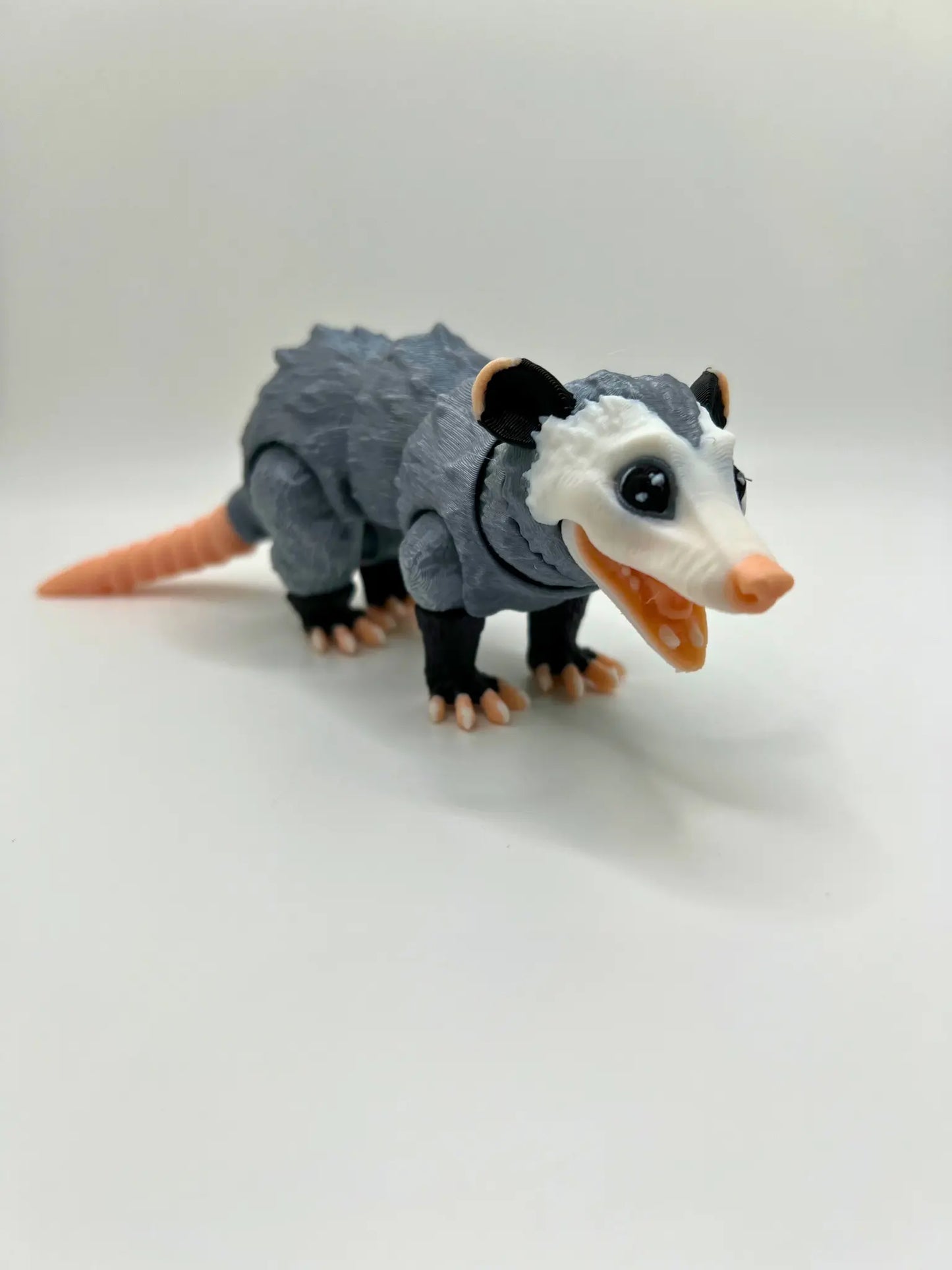 Opossum