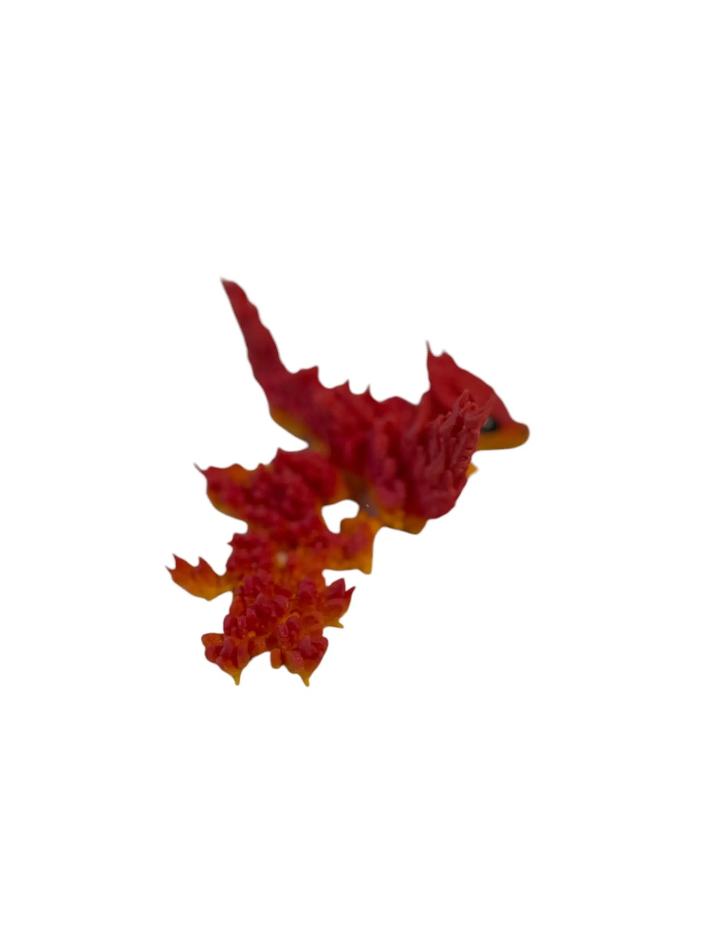 Baby Phoenix Dragon